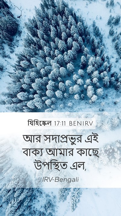 যিহিষ্কেল 17:11 BENIRV Bible Verse Image
