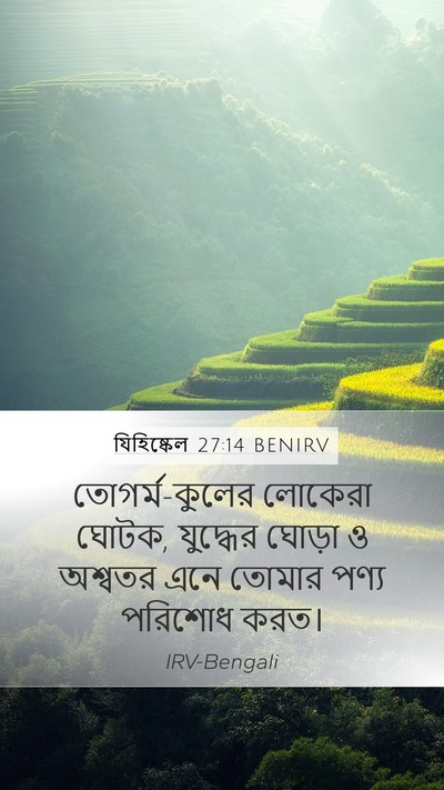যিহিষ্কেল 27:14 BENIRV Bible Verse Image