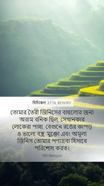 যিহিষ্কেল 27:16 BENIRV Bible Verse Image