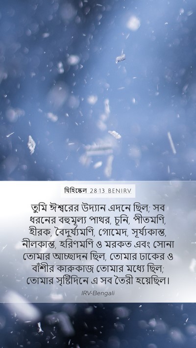যিহিষ্কেল 28:13 BENIRV Bible Verse Image