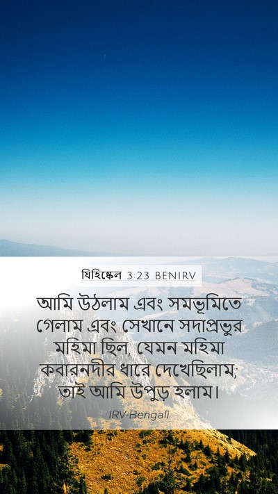 যিহিষ্কেল 3:23 BENIRV Bible Verse Image