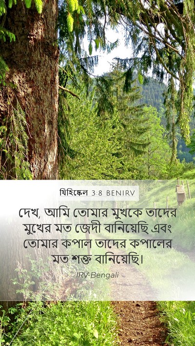যিহিষ্কেল 3:8 BENIRV Bible Verse Image