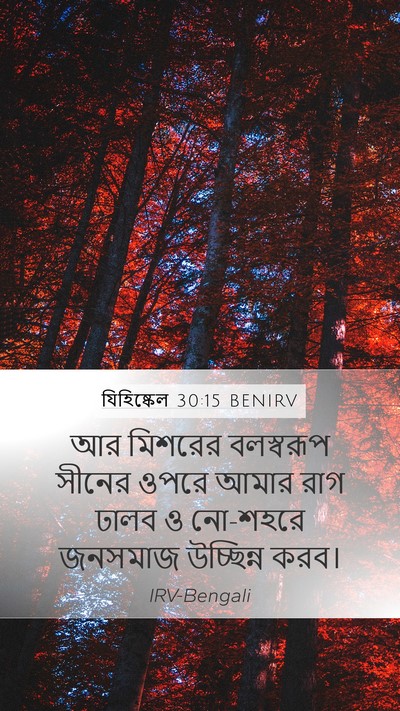 যিহিষ্কেল 30:15 BENIRV Bible Verse Image