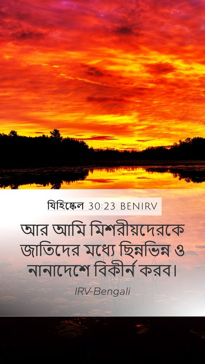 যিহিষ্কেল 30:23 BENIRV Bible Verse Image