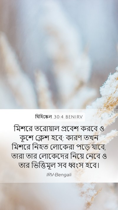 যিহিষ্কেল 30:4 BENIRV Bible Verse Image