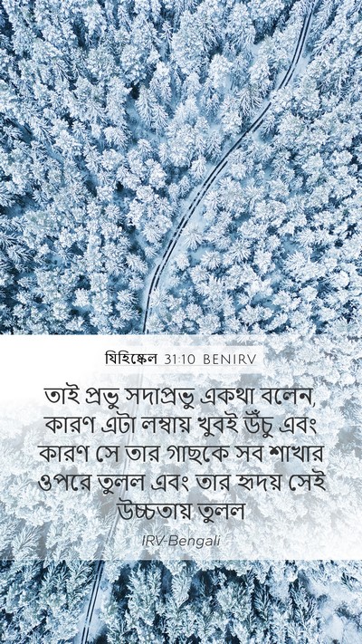 যিহিষ্কেল 31:10 BENIRV Mobile Phone Wallpaper - তাই প্রভু - Mobile Bible Verse Wallpaper