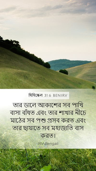 যিহিষ্কেল 31:6 BENIRV Bible Verse Image