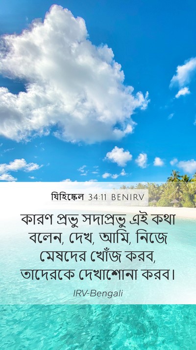 যিহিষ্কেল 34:11 BENIRV Bible Verse Image