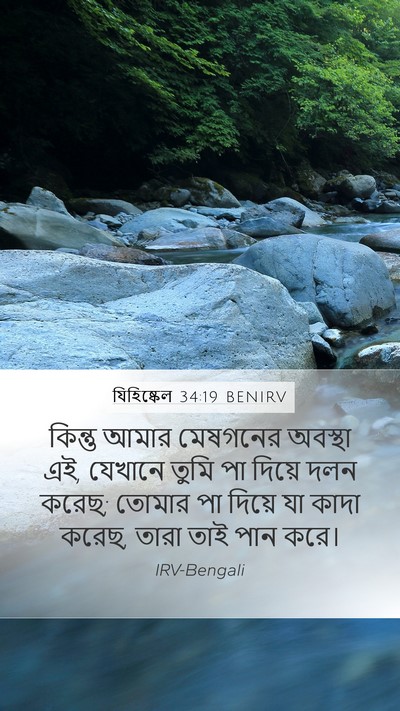 যিহিষ্কেল 34:19 BENIRV Bible Verse Image
