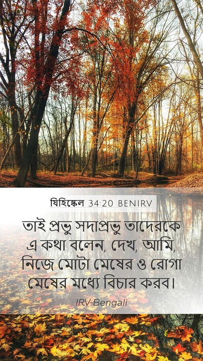 যিহিষ্কেল 34:20 BENIRV Bible Verse Image