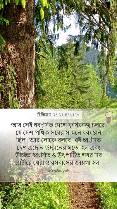 যিহিষ্কেল 36:34 BENIRV Mobile Phone Wallpaper - আর সেই ধবংসিত দেশে - Mobile Bible Verse Wallpaper