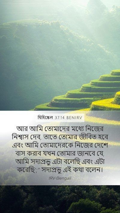 যিহিষ্কেল 37:14 BENIRV Bible Verse Image