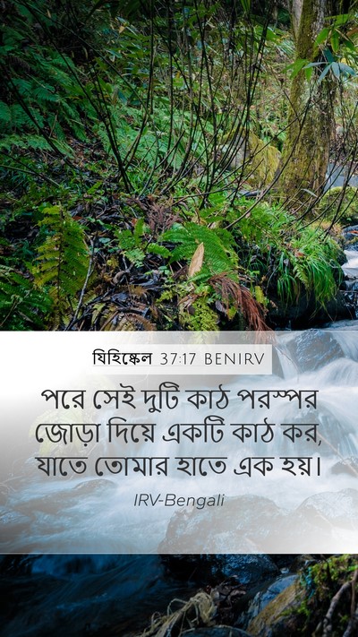 যিহিষ্কেল 37:17 BENIRV Mobile Phone Wallpaper - পরে সেই দুটি কাঠ - Mobile Bible Verse Wallpaper