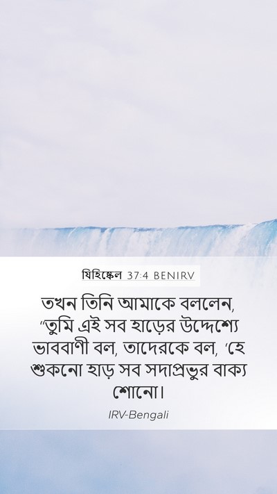 যিহিষ্কেল 37:4 BENIRV Bible Verse Image