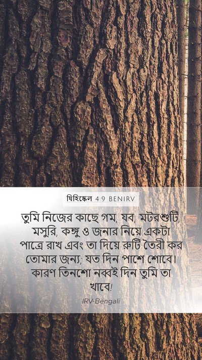 যিহিষ্কেল 4:9 BENIRV Bible Verse Image