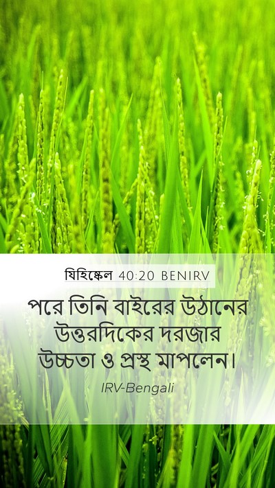 যিহিষ্কেল 40:20 BENIRV Bible Verse Image