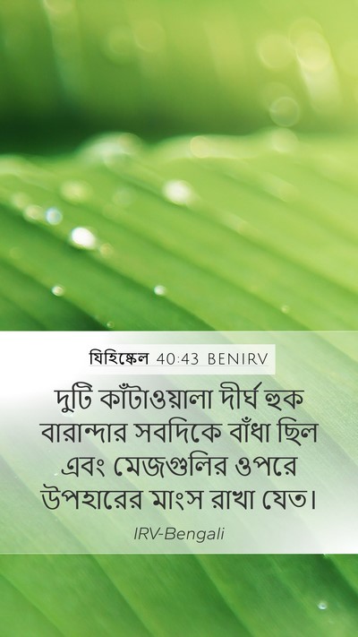 যিহিষ্কেল 40:43 BENIRV Mobile Phone Wallpaper - দুটি কাঁটাওয়ালা - Mobile Bible Verse Wallpaper