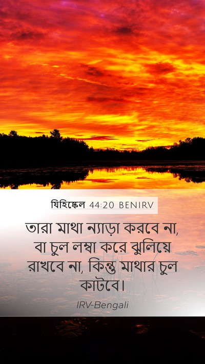 যিহিষ্কেল 44:20 BENIRV Bible Verse Image