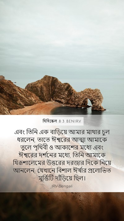 যিহিষ্কেল 8:3 BENIRV Bible Verse Image