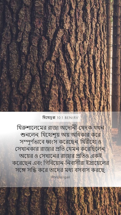 যিহোচূৱা 10:1 BENIRV Bible Verse Image