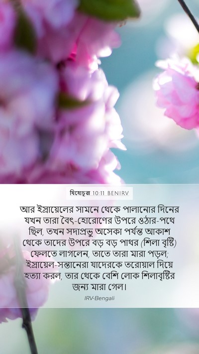 যিহোচূৱা 10:11 BENIRV Bible Verse Image