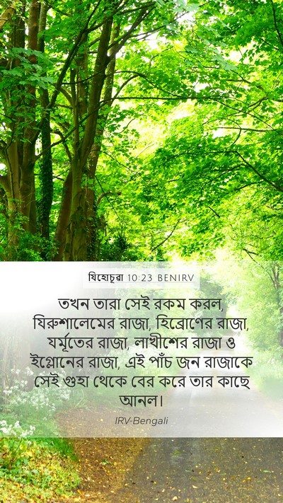 যিহোচূৱা 10:23 BENIRV Bible Verse Image