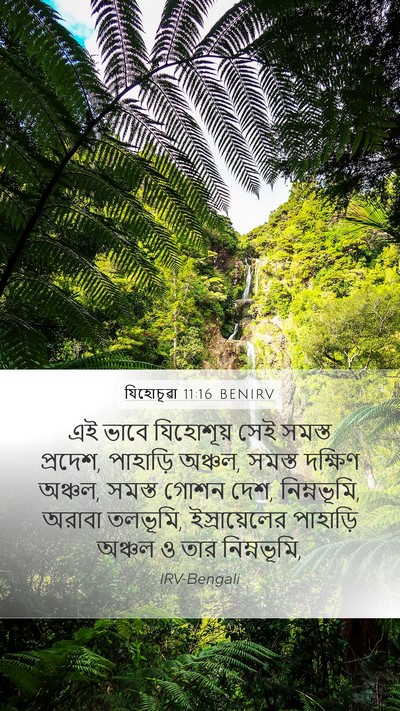 যিহোচূৱা 11:16 BENIRV Bible Verse Image