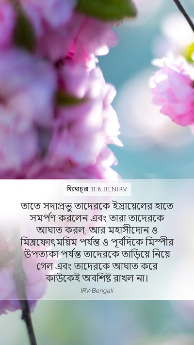 যিহোচূৱা 11:8 BENIRV Bible Verse Image