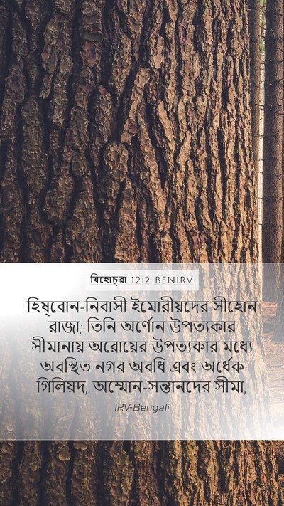 যিহোচূৱা 12:2 BENIRV Bible Verse Image