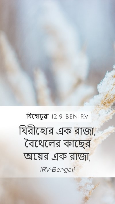 যিহোচূৱা 12:9 BENIRV Bible Verse Image