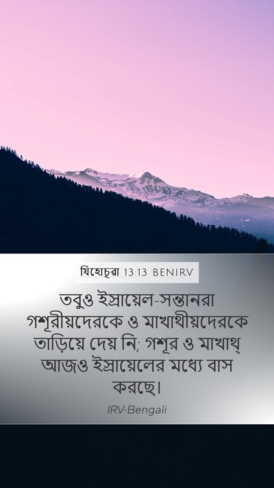 যিহোচূৱা 13:13 BENIRV Bible Verse Image
