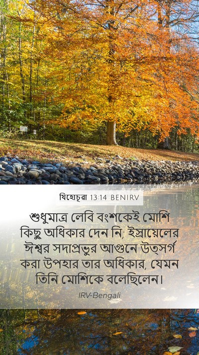 যিহোচূৱা 13:14 BENIRV Bible Verse Image