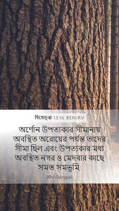 যিহোচূৱা 13:16 BENIRV Bible Verse Image