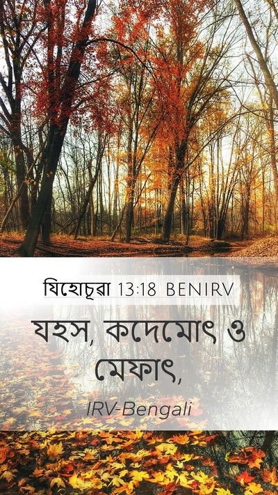 যিহোচূৱা 13:18 BENIRV Bible Verse Image