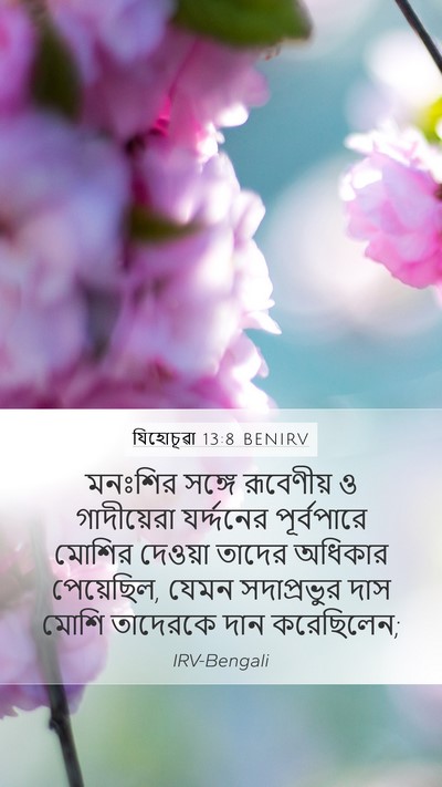 যিহোচূৱা 13:8 BENIRV Bible Verse Image