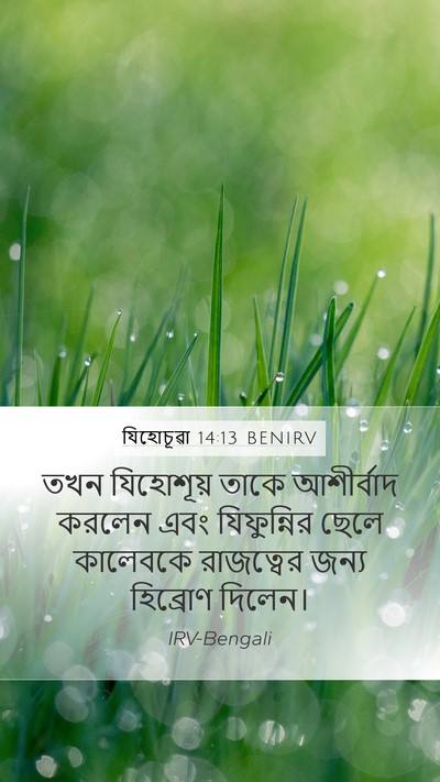 যিহোচূৱা 14:13 BENIRV Bible Verse Image