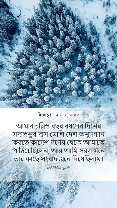 যিহোচূৱা 14:7 BENIRV Bible Verse Image