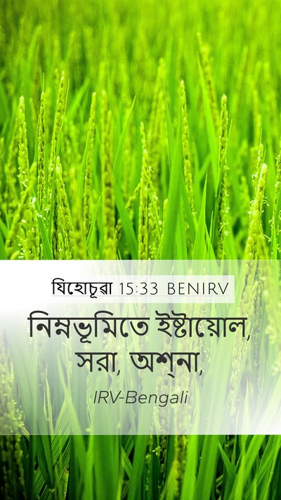 যিহোচূৱা 15:33 BENIRV Bible Verse Image