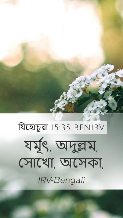 যিহোচূৱা 15:35 BENIRV Bible Verse Image