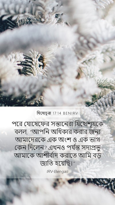যিহোচূৱা 17:14 BENIRV Mobile Phone Wallpaper - পরে যোষেফের - Mobile Bible Verse Wallpaper