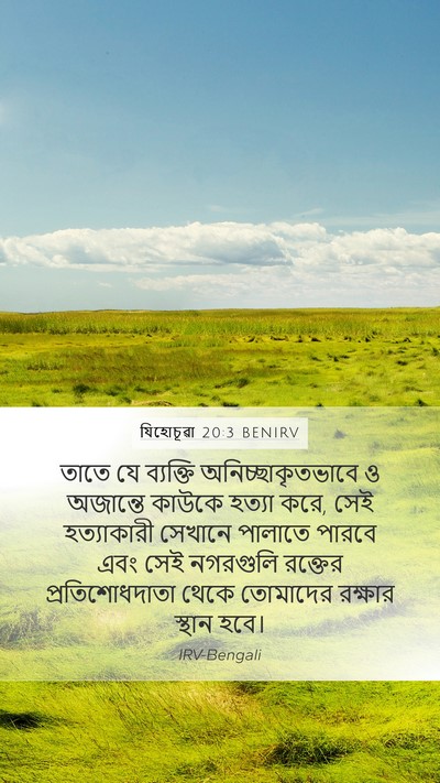 যিহোচূৱা 20:3 BENIRV Mobile Phone Wallpaper - তাতে যে ব্যক্তি - Mobile Bible Verse Wallpaper