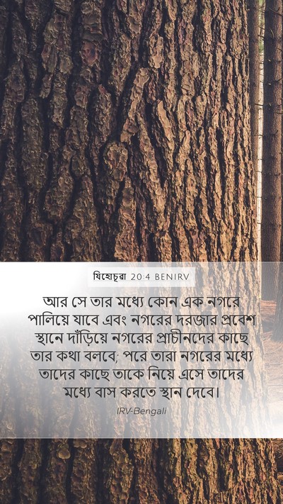 যিহোচূৱা 20:4 BENIRV Bible Verse Image