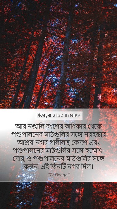 যিহোচূৱা 21:32 BENIRV Bible Verse Image