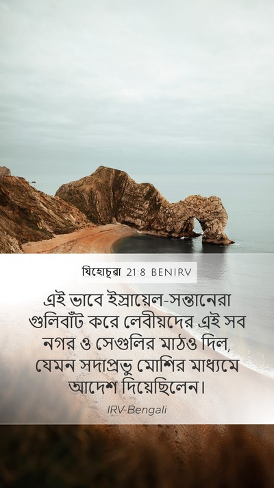 যিহোচূৱা 21:8 BENIRV Bible Verse Image