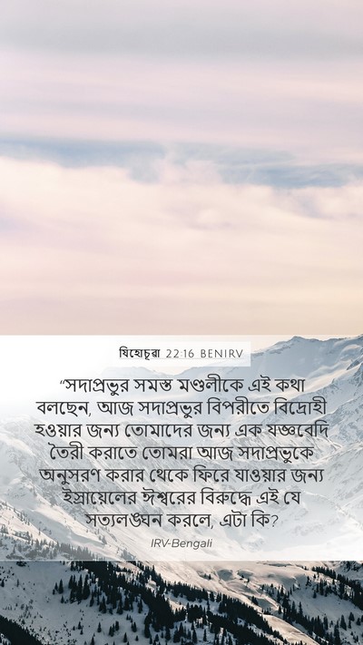 যিহোচূৱা 22:16 BENIRV Bible Verse Image