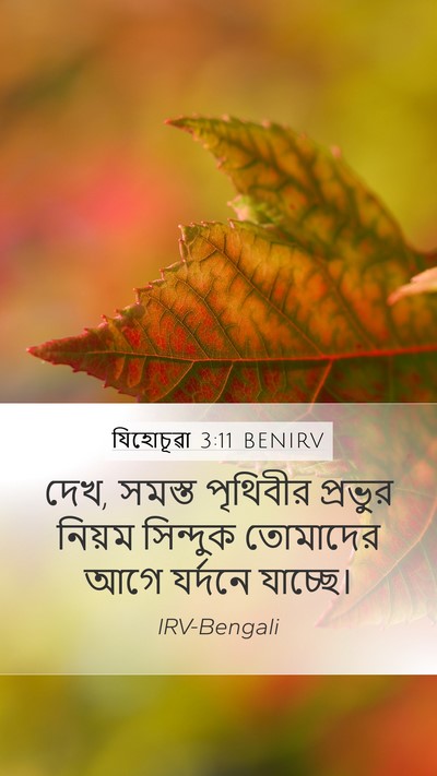 যিহোচূৱা 3:11 BENIRV Mobile Phone Wallpaper - দেখ, সমস্ত পৃথিবীর - Mobile Bible Verse Wallpaper