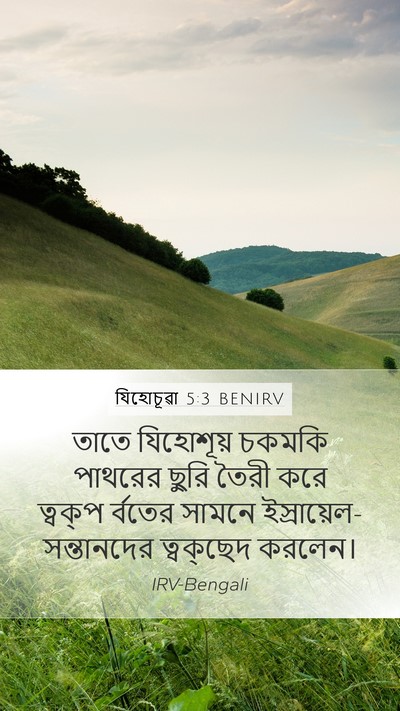 যিহোচূৱা 5:3 BENIRV Bible Verse Image