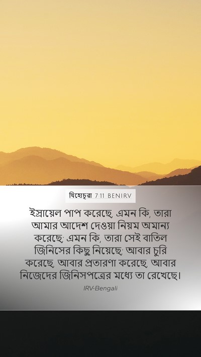 যিহোচূৱা 7:11 BENIRV Bible Verse Image