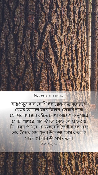 যিহোচূৱা 8:31 BENIRV Bible Verse Image