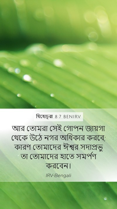 যিহোচূৱা 8:7 BENIRV Bible Verse Image